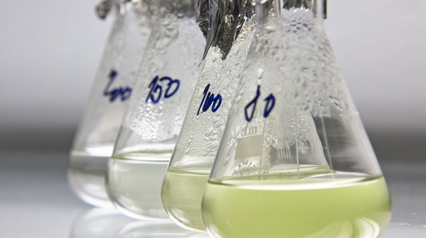 Rasovy-test-1