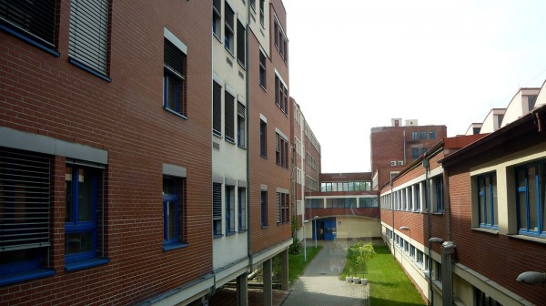 Misto-distribuce-vzorku-ZZ