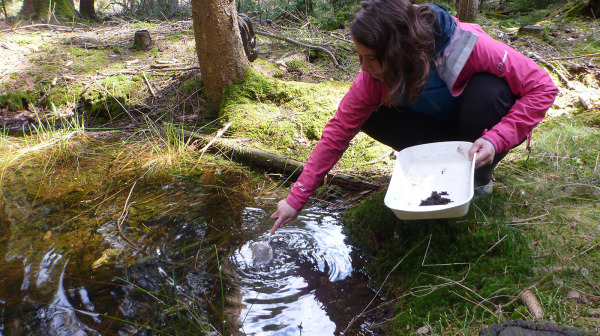 2021_04_21_periodicka_tunka_u_Rok_18_02