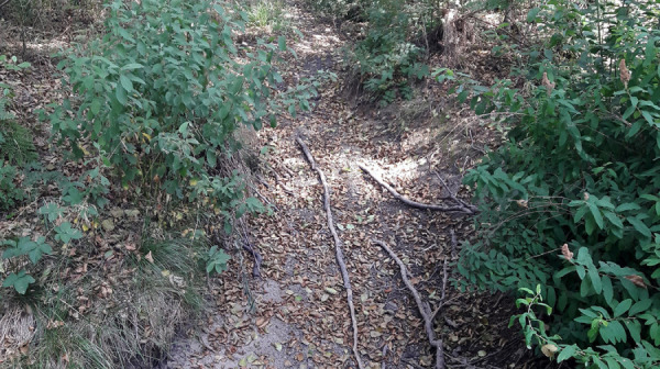 20220817_Bystrina_silnicni_propustek_01