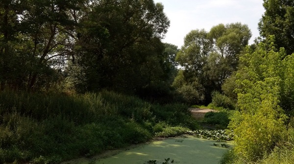 Orlice-meandr-pred-rekultivaci