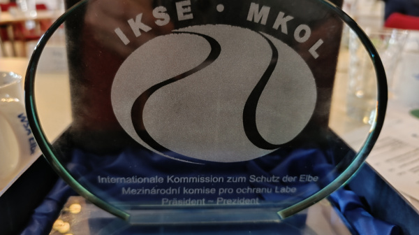 Pokal
