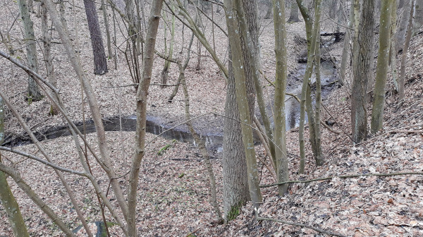 Udoli-Skryjskeho-potoka