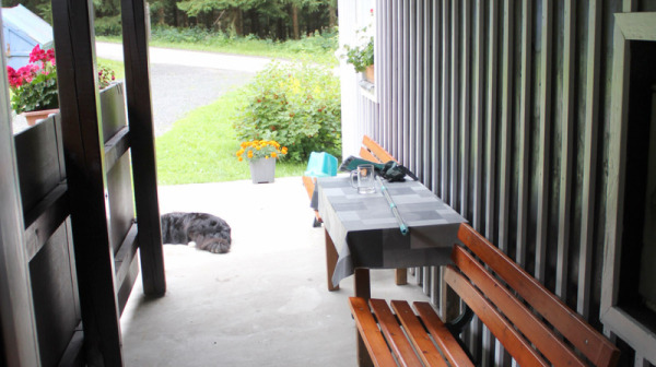 IMG_2117