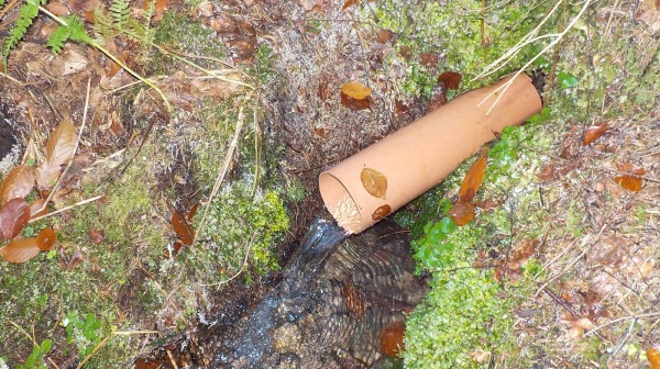 RESIBIL-Pramen-Decinsky-Sneznik