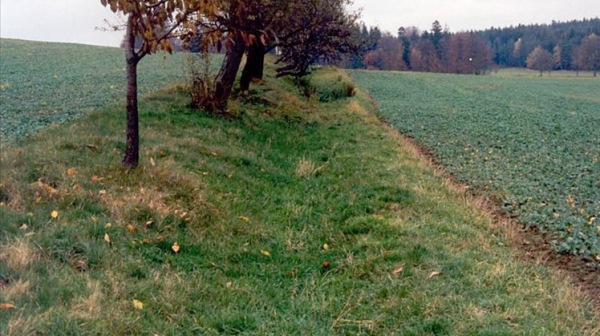 3b_Protierozni-pruleh-s-ozelenenim-kopie