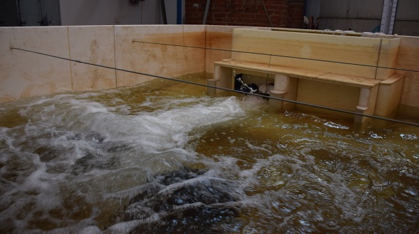 Spodni-vypust-otevrena-na-100