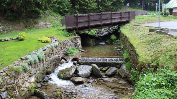 Foto01